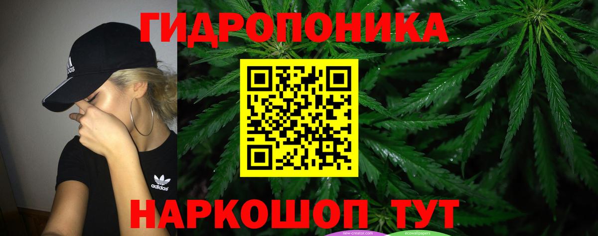 Шишки марихуана гибрид  Бошки марихуана AK-47  Вход с VPN  Бошки марихуана сатива  Тара  МАРИХУАНА марихуана 